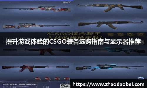 提升游戏体验的CSGO装备选购指南与显示器推荐